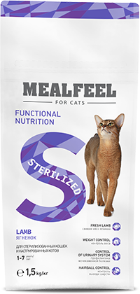 корм для котят